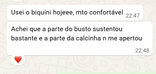 Print de conversa com a Milena